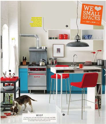 02-CB2KitchenDog