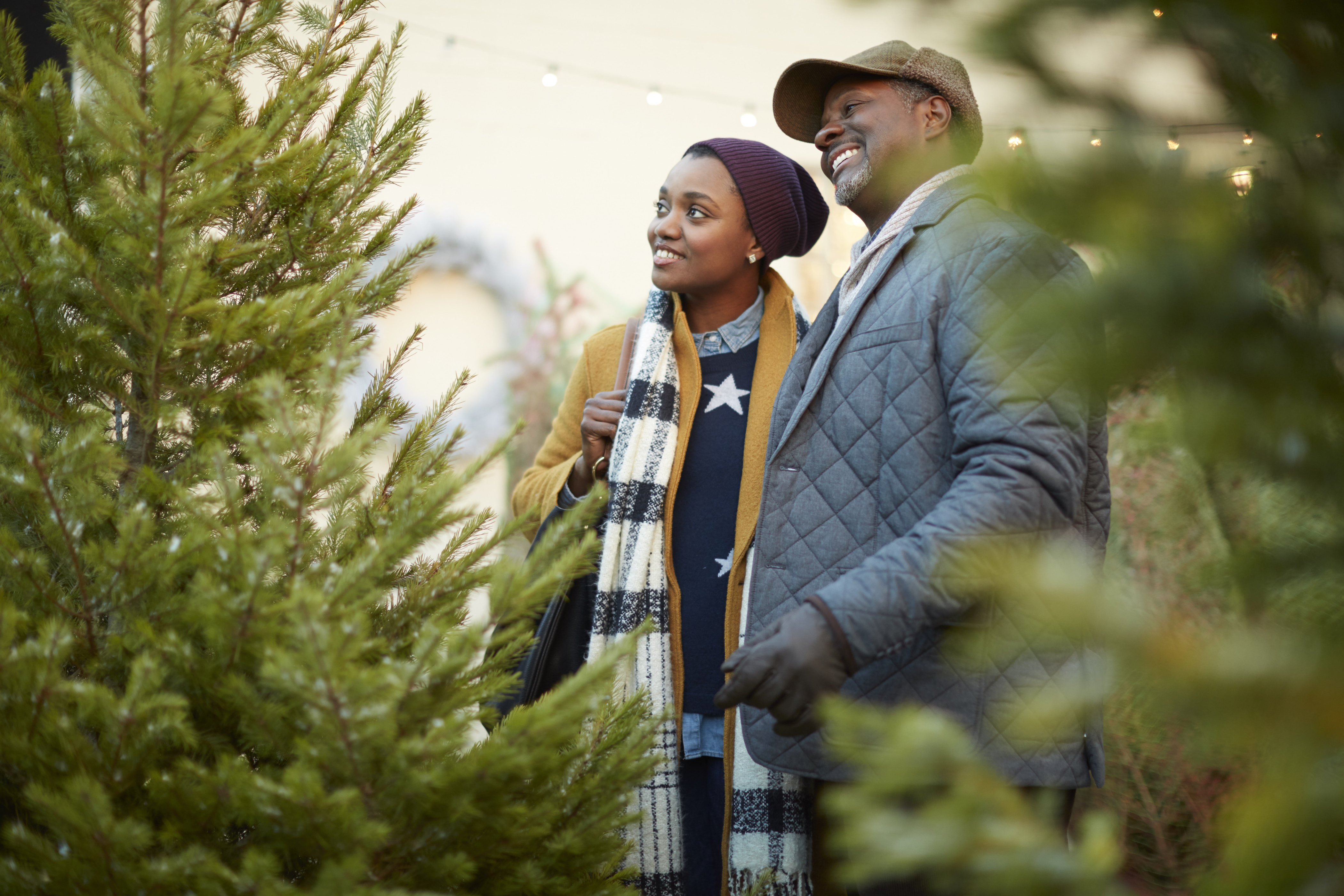 Helix_Holiday_Day_02_1A_Christmas_Tree_Lot_0447